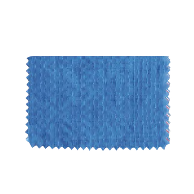 OP016 Customizable Bule PE Tarpaulin